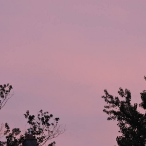 女性与蛇交交的视频
