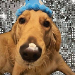 女性与蛇交交的视频
